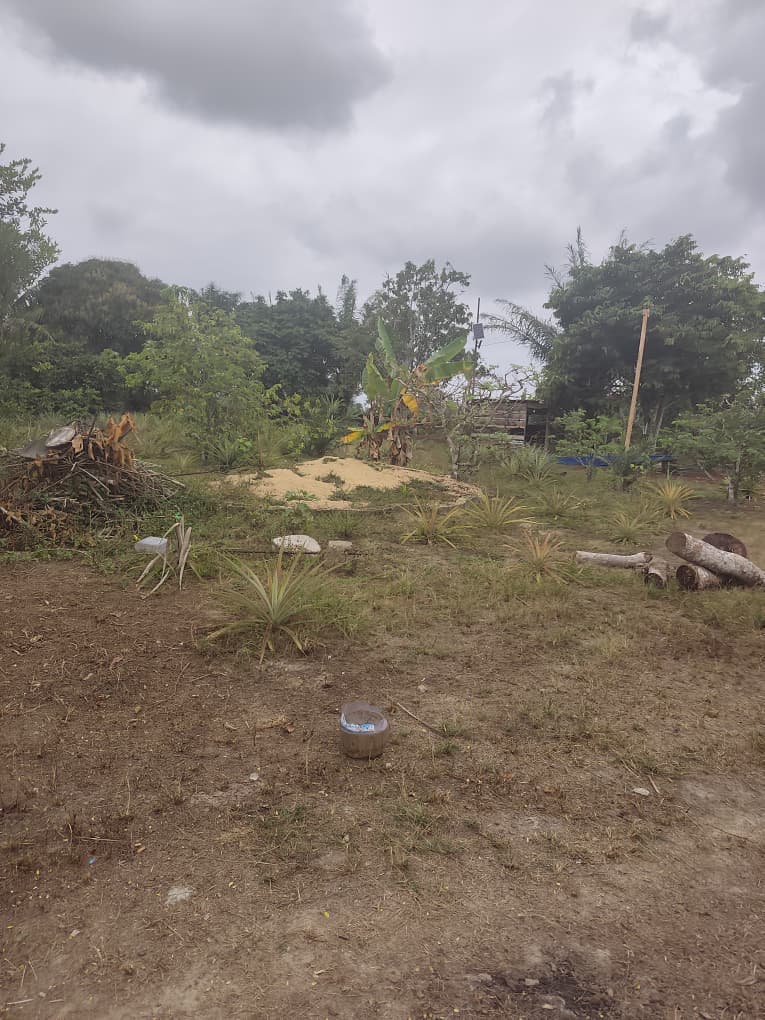 TERRAIN A VENDRE